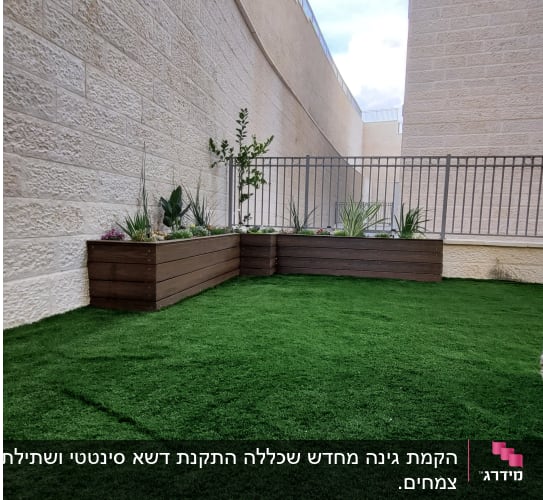 ערוגות עץ עם צמחים ודשא ירוק